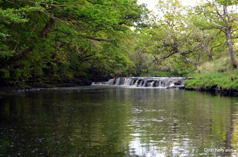 The Bluestack Centre Donegal Town Bagian luar foto